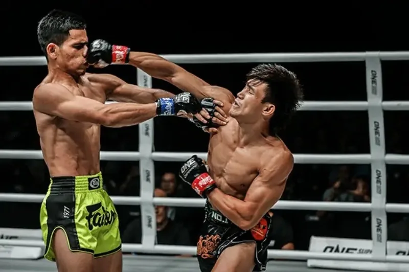 Các kỹ thuật Muay Thái cơ bản gồm đấm, đá, gối, chỏ, phòng thủ và clinch