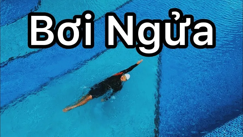 Kỹ thuật bơi ngửa là gì?